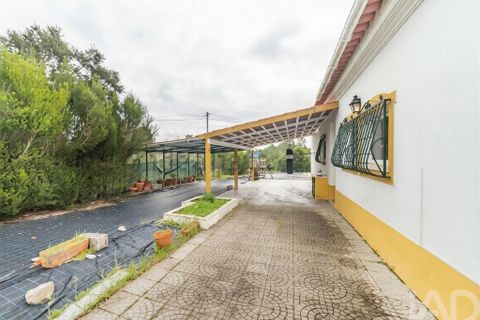 Farm i Coruche, Santarem, Coruche - € 500.000 | Ref: 836861 - foto 32