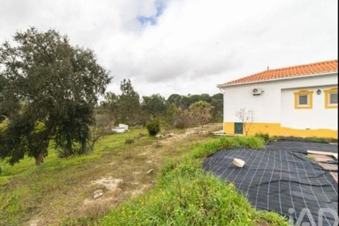 Farm i Coruche, Santarem, Coruche - € 500.000 | Ref: 836861 - foto 34