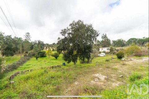 Farm i Coruche, Santarem, Coruche - € 500.000 | Ref: 836861 - foto 36