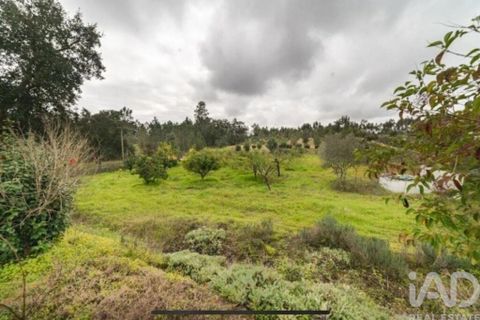 Farm i Coruche, Santarem, Coruche - € 500.000 | Ref: 836861 - foto 37
