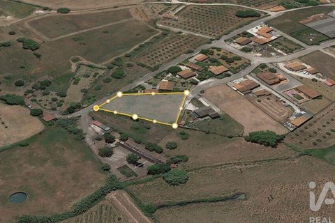 Terra a Santarem, Santarem, Santarem - € 49.900 | Ref: 107032 - foto 2