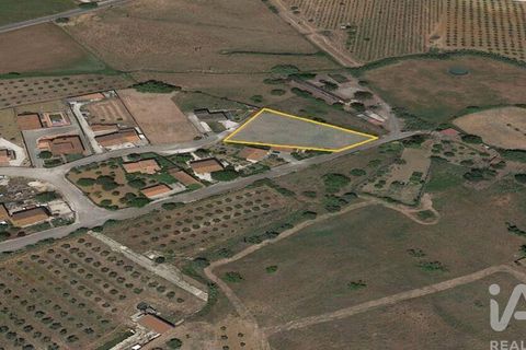 Terra a Santarem, Santarem, Santarem - € 49.900 | Ref: 107032 - foto 3