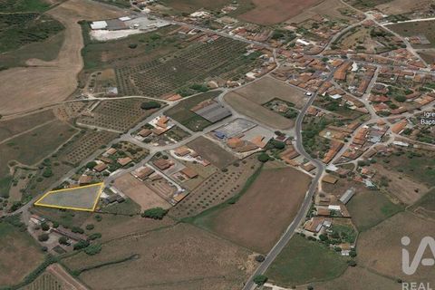 Terra a Santarem, Santarem, Santarem - € 49.900 | Ref: 107032 - foto 4