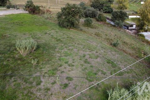 Terra a Santarem, Santarem, Santarem - € 49.900 | Ref: 107032 - foto 8