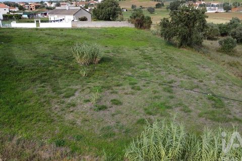 Terra a Santarem, Santarem, Santarem - € 49.900 | Ref: 107032 - foto 9