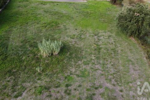Terra a Santarem, Santarem, Santarem - € 49.900 | Ref: 107032 - foto 12