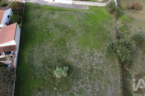 Terra a Santarem, Santarem, Santarem - € 49.900 | Ref: 107032 - foto 13