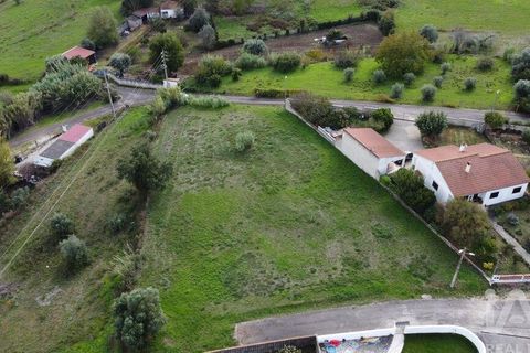 Terra a Santarem, Santarem, Santarem - € 49.900 | Ref: 107032 - foto 15