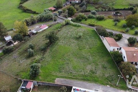 Terra a Santarem, Santarem, Santarem - € 49.900 | Ref: 107032 - foto 16