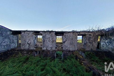 Byhus i Lajes do Pico, Pico, Lajes do Pico - € 125.000 | Ref: 110464 - foto 9