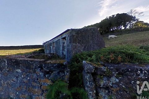 Byhus i Lajes do Pico, Pico, Lajes do Pico - € 125.000 | Ref: 110464 - foto 11