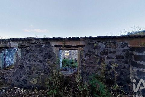 Byhus i Lajes do Pico, Pico, Lajes do Pico - € 125.000 | Ref: 110464 - foto 15