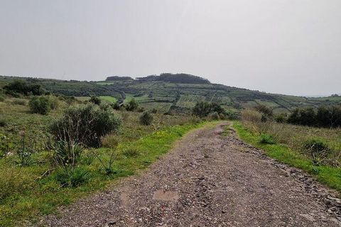Terra a Mafra, Lisbon, Mafra - € 98.000 | Ref: 845206 - foto 3