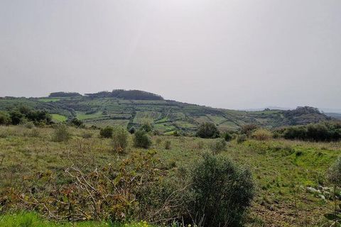 Terra a Mafra, Lisbon, Mafra - € 98.000 | Ref: 845206 - foto 6