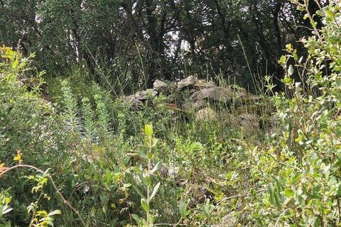 Terra a Mafra, Lisbon, Mafra - € 98.000 | Ref: 845206 - foto 2