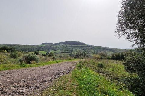 Terra a Mafra, Lisbon, Mafra - € 98.000 | Ref: 845206 - foto 9