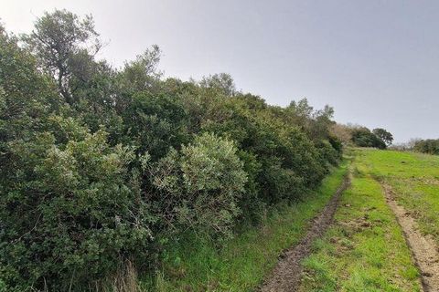 Terra a Mafra, Lisbon, Mafra - € 98.000 | Ref: 845206 - foto 10