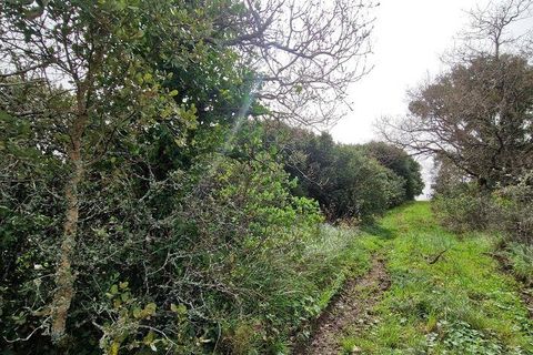 Terra a Mafra, Lisbon, Mafra - € 98.000 | Ref: 845206 - foto 11