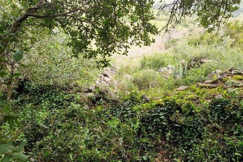 Terra a Mafra, Lisbon, Mafra - € 98.000 | Ref: 845206 - foto 12