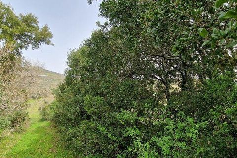 Terra a Mafra, Lisbon, Mafra - € 98.000 | Ref: 845206 - foto 13