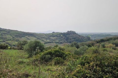 Terra a Mafra, Lisbon, Mafra - € 98.000 | Ref: 845206 - foto 16