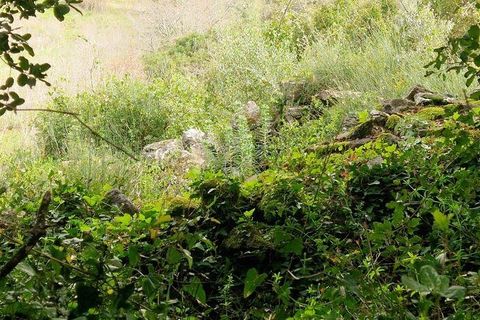 Terra a Mafra, Lisbon, Mafra - € 98.000 | Ref: 845206 - foto 20
