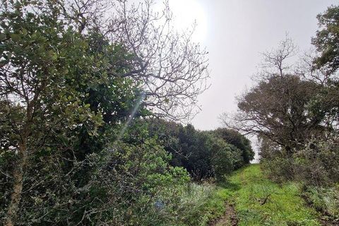Terra a Mafra, Lisbon, Mafra - € 98.000 | Ref: 845206 - foto 21
