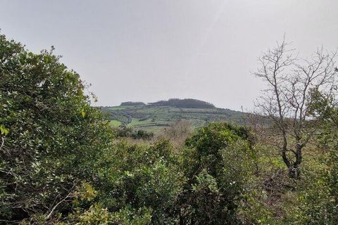 Terra a Mafra, Lisbon, Mafra - € 98.000 | Ref: 845206 - foto 22