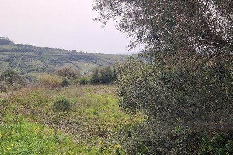 Terra a Mafra, Lisbon, Mafra - € 98.000 | Ref: 845206 - foto 23