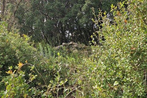 Terra a Mafra, Lisbon, Mafra - € 98.000 | Ref: 845206 - foto 30