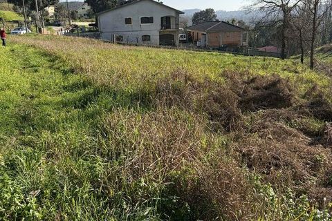 Helårsgrund i Agueda, Aveiro, Agueda - € 33.000 | Ref: 840448 - foto 3