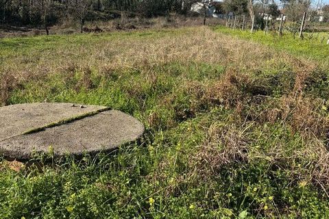 Helårsgrund i Agueda, Aveiro, Agueda - € 33.000 | Ref: 840448 - foto 4