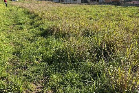 Helårsgrund i Agueda, Aveiro, Agueda - € 33.000 | Ref: 840448 - foto 6