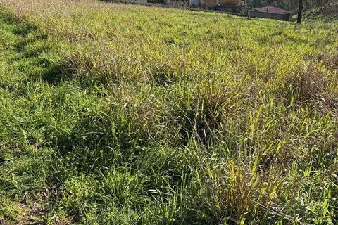Helårsgrund i Agueda, Aveiro, Agueda - € 33.000 | Ref: 840448 - foto 7