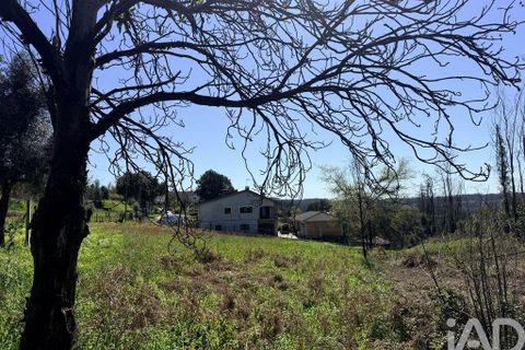 Helårsgrund i Agueda, Aveiro, Agueda - € 33.000 | Ref: 840448 - foto 11