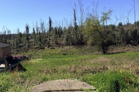 Helårsgrund i Agueda, Aveiro, Agueda - € 33.000 | Ref: 840448 - foto 12