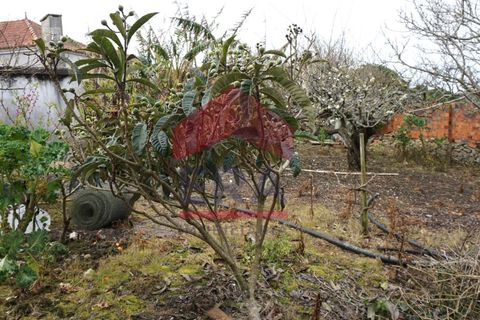 Villa a Lourinha, Lisbon, Lourinha - € 292.000 | Ref: 130260025 - foto 21