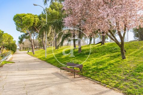 Tomt i Madrid, Madrid, Madrid - € 635 000 | Ref: VMN2603017 - foto 14