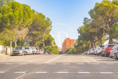 Tomt i Madrid, Madrid, Madrid - € 635 000 | Ref: VMN2603017 - foto 19