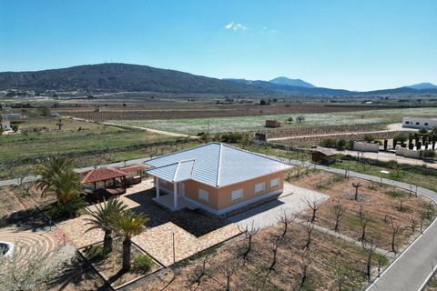 Villa i Pinoso, Alicante, Pinoso - € 595.000 | Ref: 61128 - foto 2