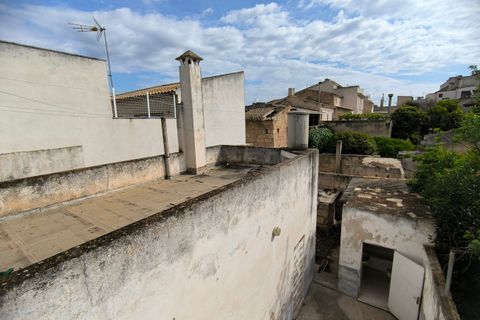 Landsbyhus i Sa Pobla, Mallorca, Sa Pobla - € 360.000 | Ref: SAP20716 - foto 4