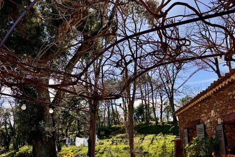 Landejendom i La Garde-Freinet, Var, La Garde-Freinet - € 1.450.000 | Ref: 99578 - foto 20