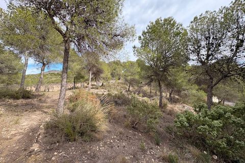 Villa a Sax, Alicante, Sax - € 315.000 | Ref: JJE7250 - foto 37