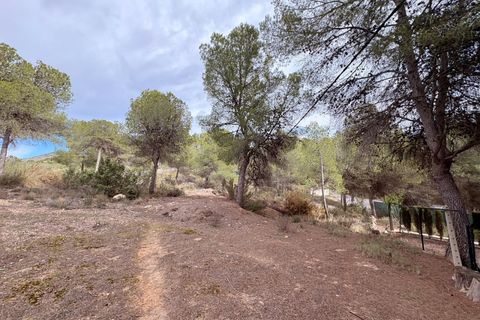 Villa a Sax, Alicante, Sax - € 315.000 | Ref: JJE7250 - foto 38