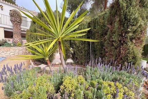 Villa a Sax, Alicante, Sax - € 315.000 | Ref: JJE7250 - foto 40