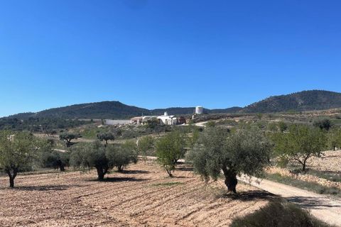 Cave house i Raspay, Murcia, Raspay - € 135.995 | Ref: MP6530 - foto 5