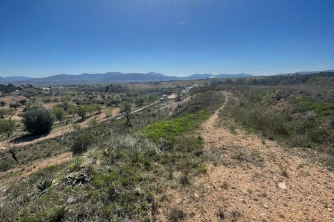 Cave house i Raspay, Murcia, Raspay - € 135.995 | Ref: MP6530 - foto 37