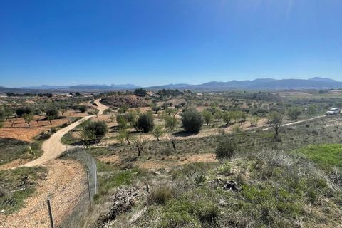 Cave house i Raspay, Murcia, Raspay - € 135.995 | Ref: MP6530 - foto 42
