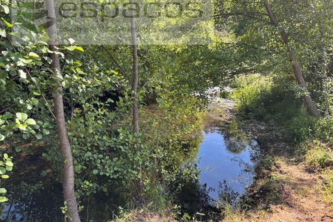 Terra a Silvares, Castelo Branco, Silvares - € 16.500 | Ref: 5684/AG - foto 4
