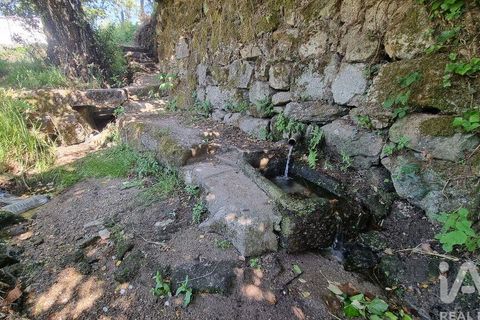 Byhus i Guarda, Guarda, Guarda - € 105.000 | Ref: 846554 - foto 15